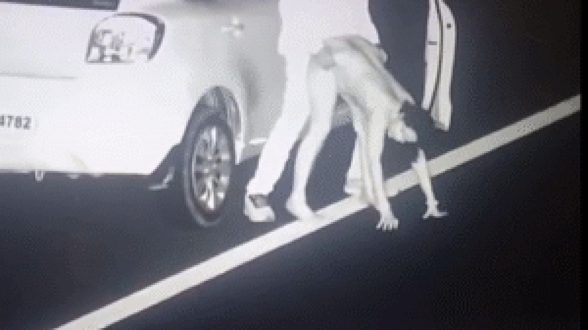⁣Horny Cpl Highway Fucking